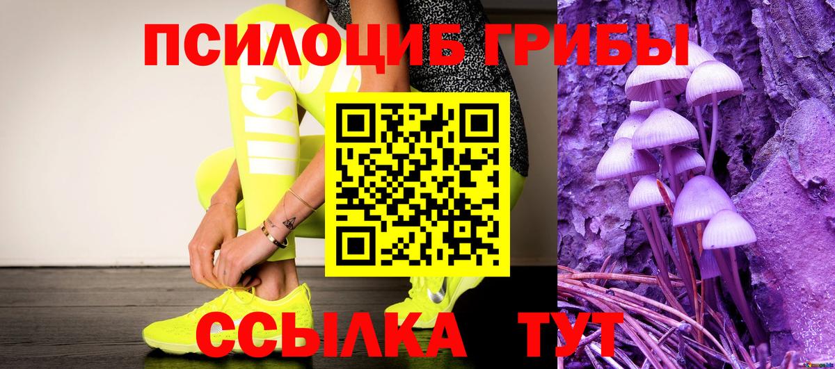 Советский  Псилоцибиновые грибы Psilocybine cubensis  Вход с VPN  Галлюциногенные грибы Cubensis 