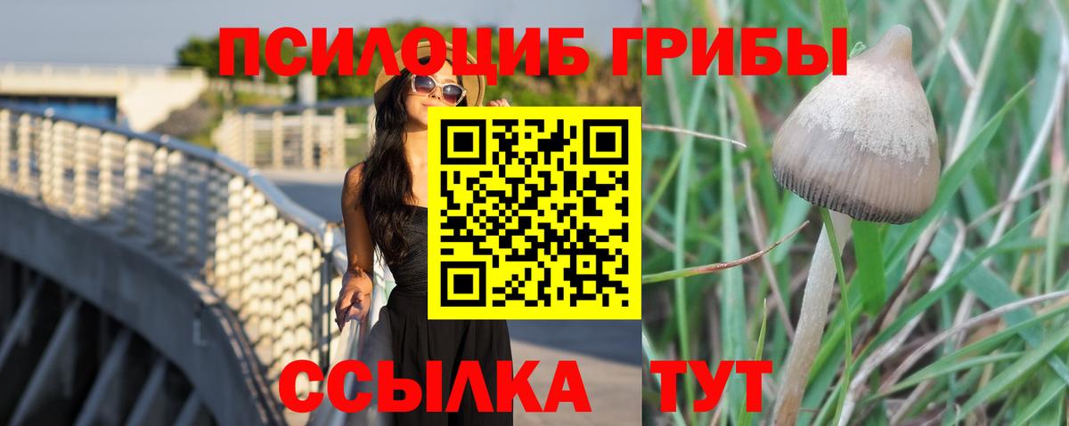 Псилоцибиновые грибы Psilocybe Советский